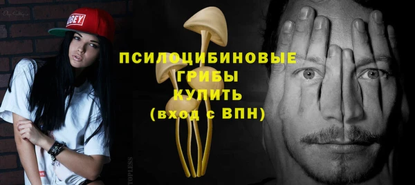 spice Богородск