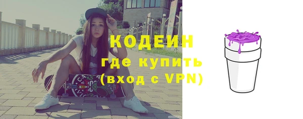 spice Богородск
