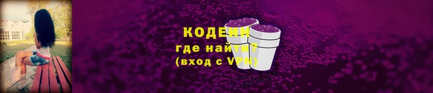 spice Богородск
