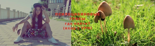 героин Богородицк