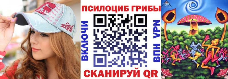 Купить где Вытегра Псилоцибиновые грибы MAGIC MUSHROOMS