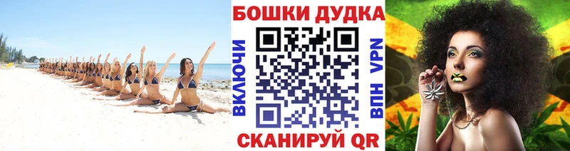 Купить где Вытегра Шишки марихуана тримм